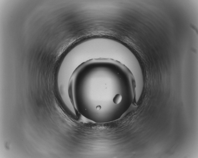 X0000099960448200806131514