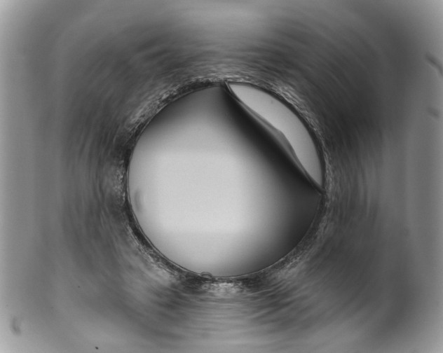 X0000099960449200806131514