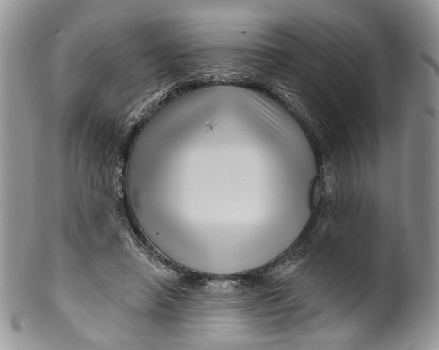 X0000099960450200806131514