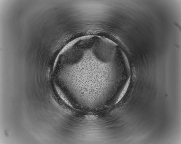 X0000099960451200806131514