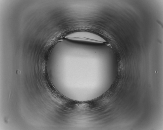 X0000099960452200806131514