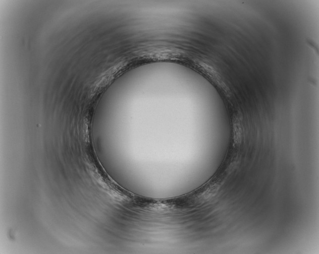 X0000099960453200806131514