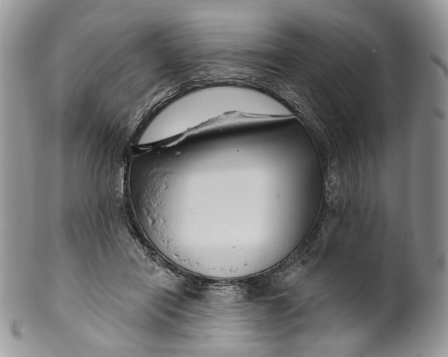 X0000099960454200806131514