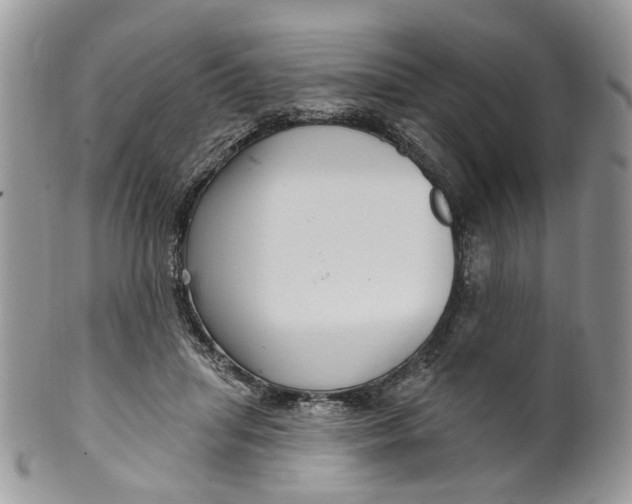 X0000099960455200806131514