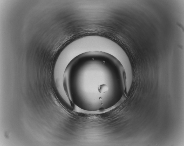 X0000099960456200806131514