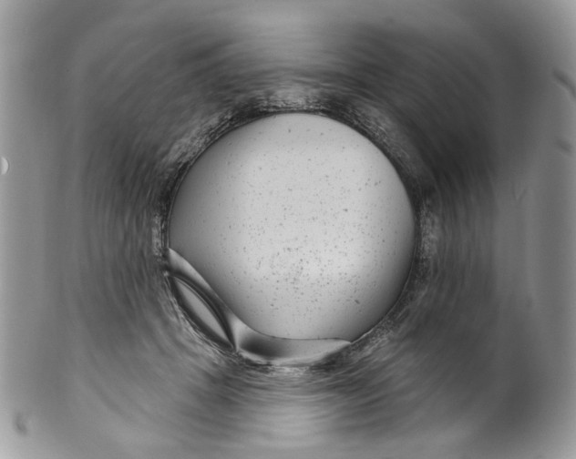 X0000099960457200806131514