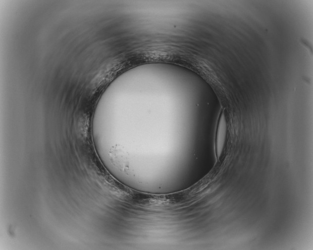 X0000099960458200806131514