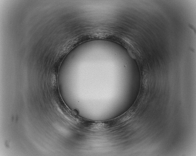 X0000099960459200806131514