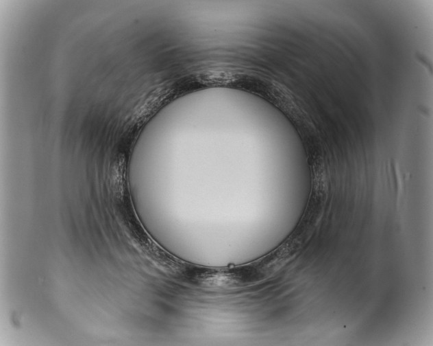 X0000099960460200806131514