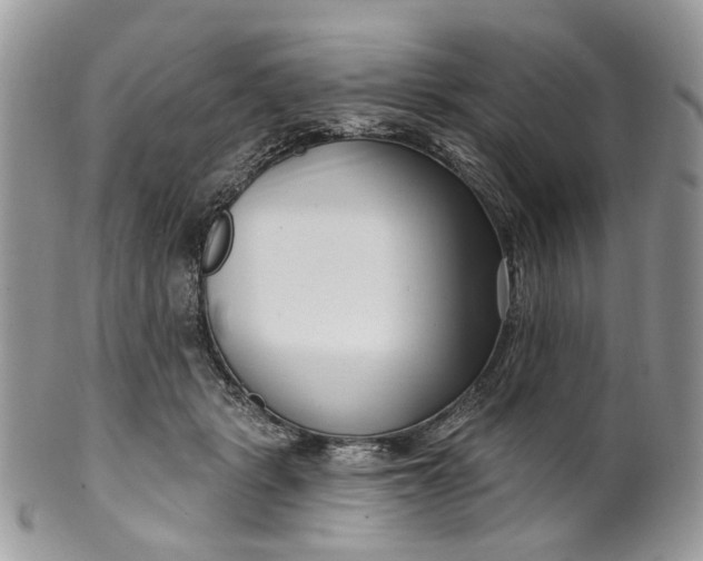 X0000099960461200806131514