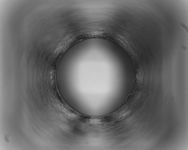 X0000099960462200806131514