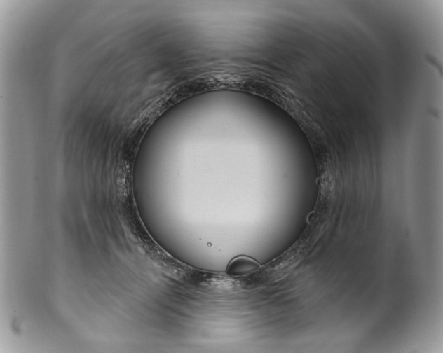 X0000099960464200806131514