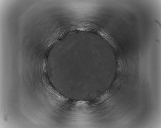 X0000099960465200806131514