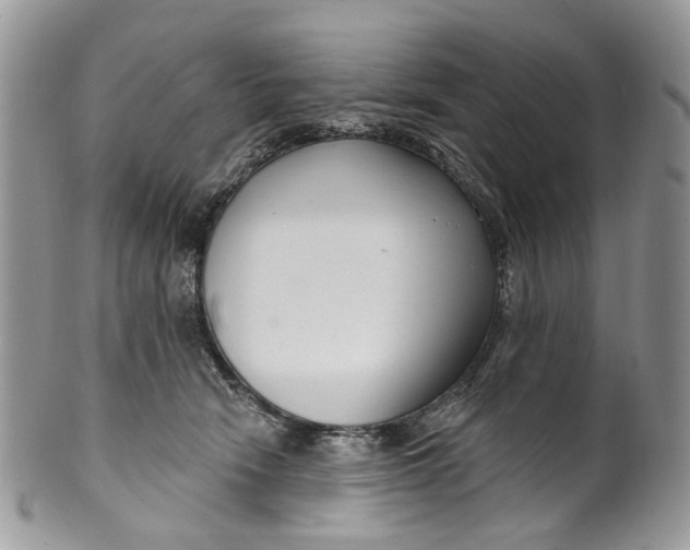 X0000099960466200806131514