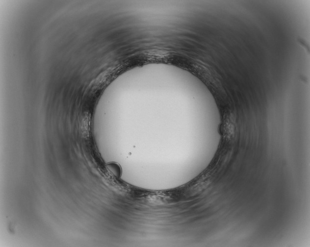 X0000099960468200806131514