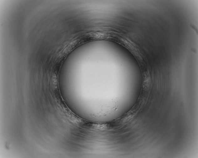 X0000099960469200806131514