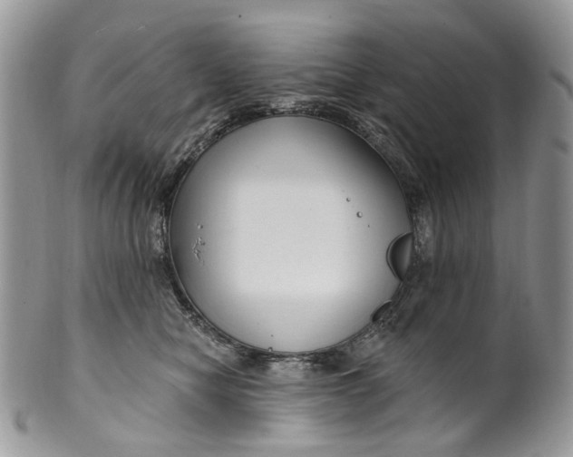 X0000099960470200806131514