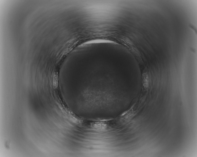 X0000099960471200806131514