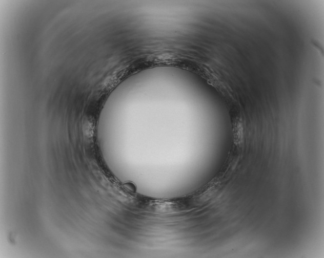 X0000099960472200806131514