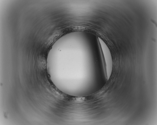 X0000099960474200806131514