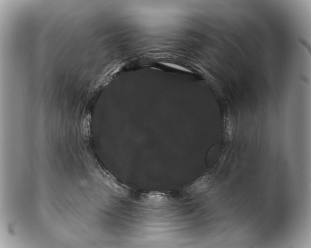 X0000099960475200806131514