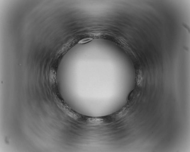 X0000099960476200806131514