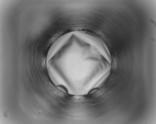 X0000099960477200806131514