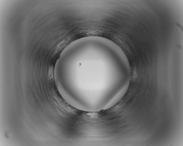 X0000099960478200806131514