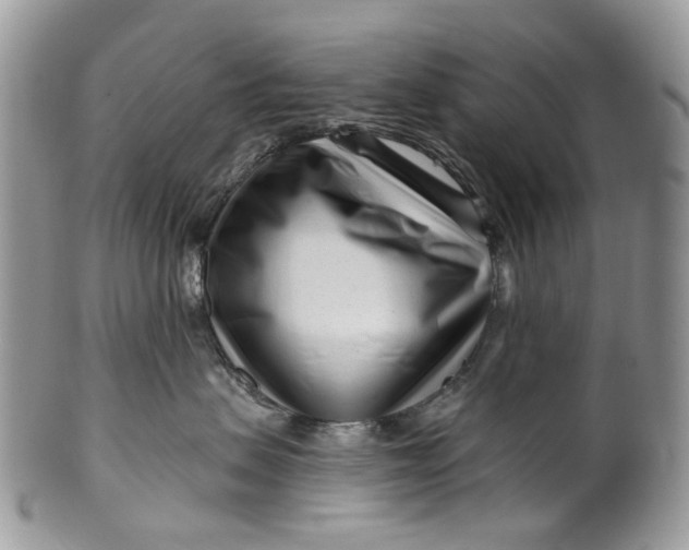 X0000099960479200806131514