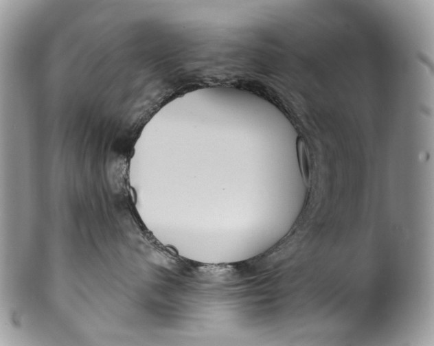 X0000099960480200806131514