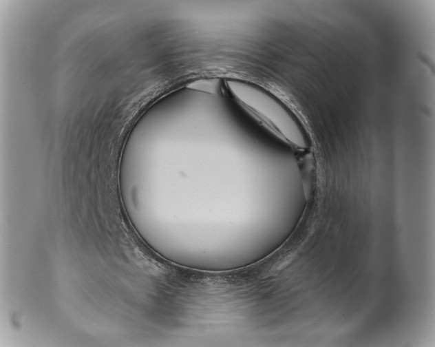 X0000099960481200806131513