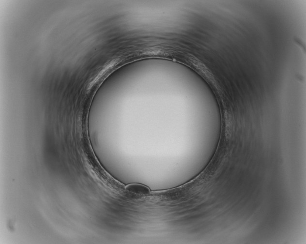 X0000099960482200806131513