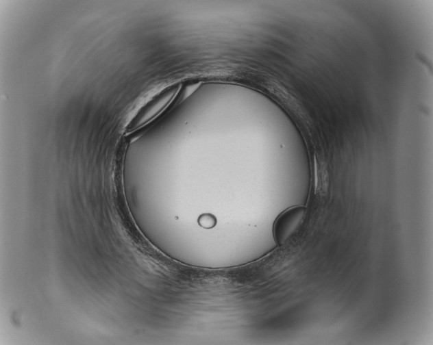 X0000099960483200806131513