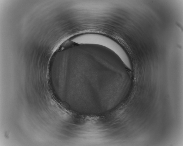 X0000099960484200806131513