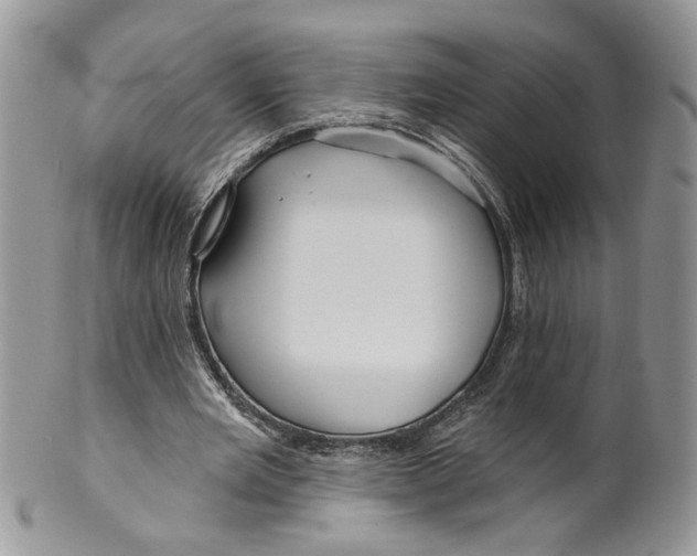 X0000099960485200806131513