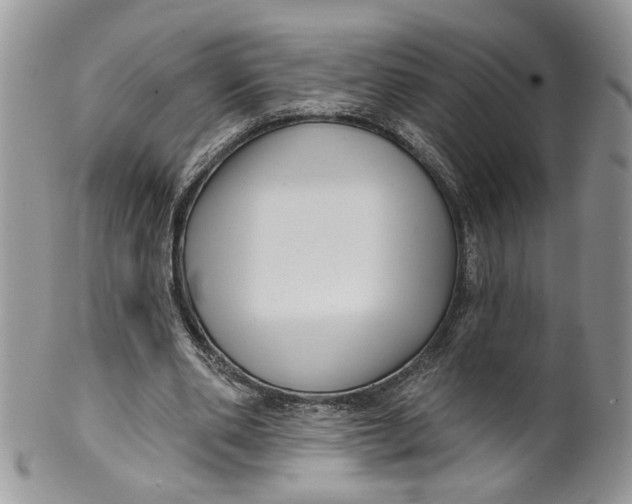 X0000099960486200806131513