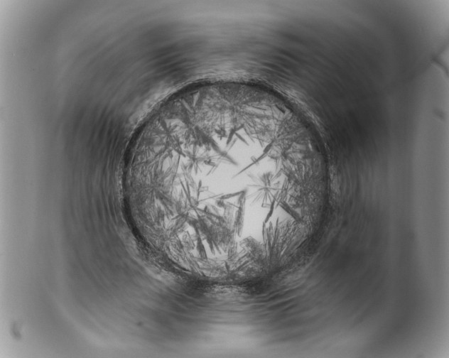 X0000099960487200806131513