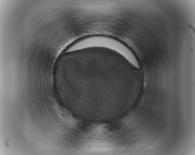 X0000099960488200806131513