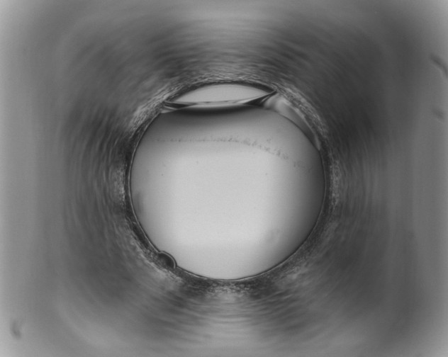 X0000099960489200806131513