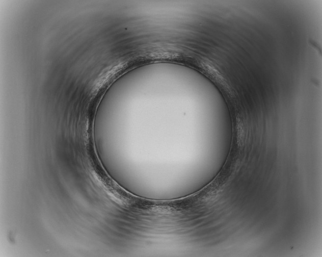 X0000099960490200806131513