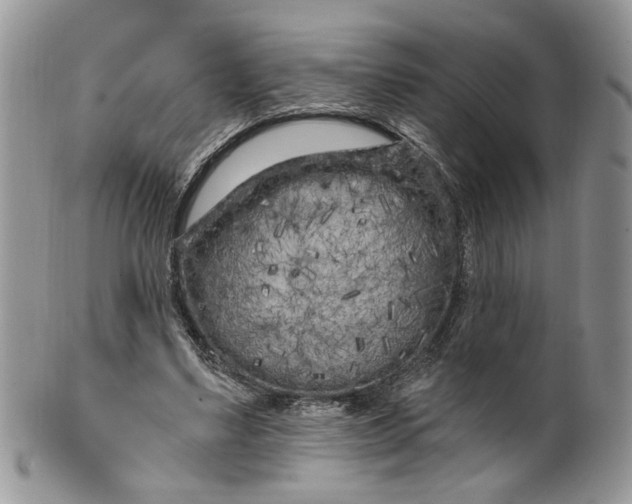 X0000099960491200806131513