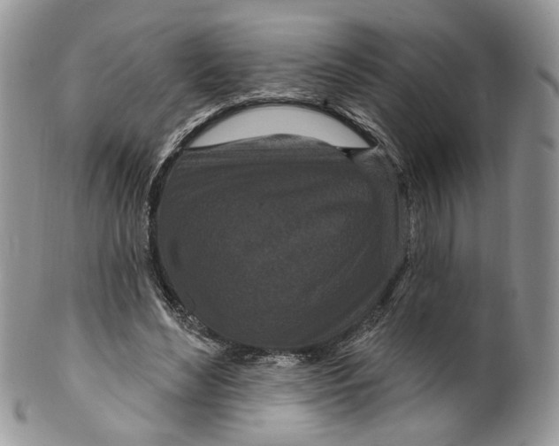 X0000099960492200806131513