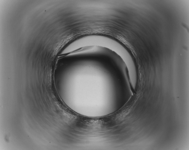 X0000099960493200806131513