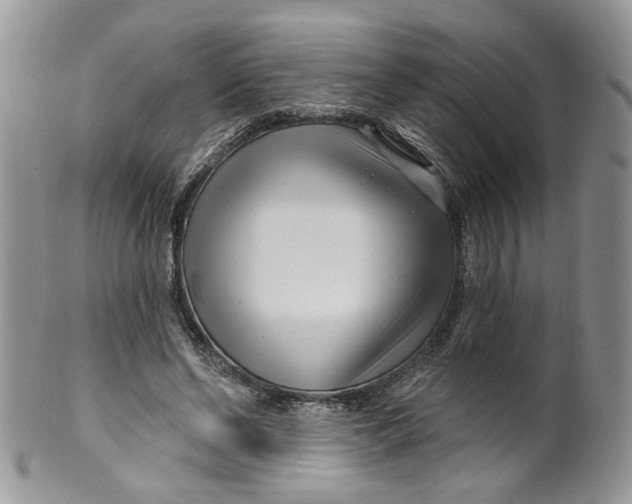 X0000099960494200806131513