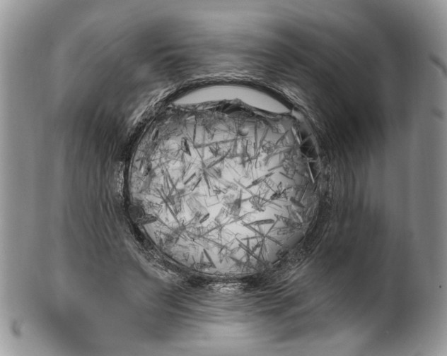 X0000099960495200806131513