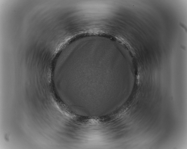 X0000099960496200806131513