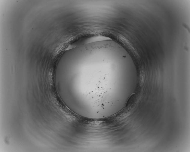 X0000099960497200806131513