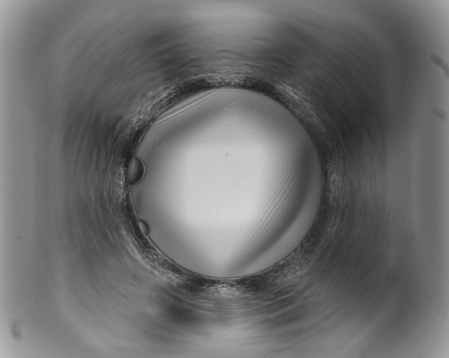 X0000099960498200806131513