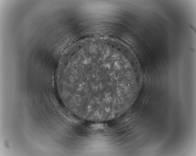 X0000099960499200806131513