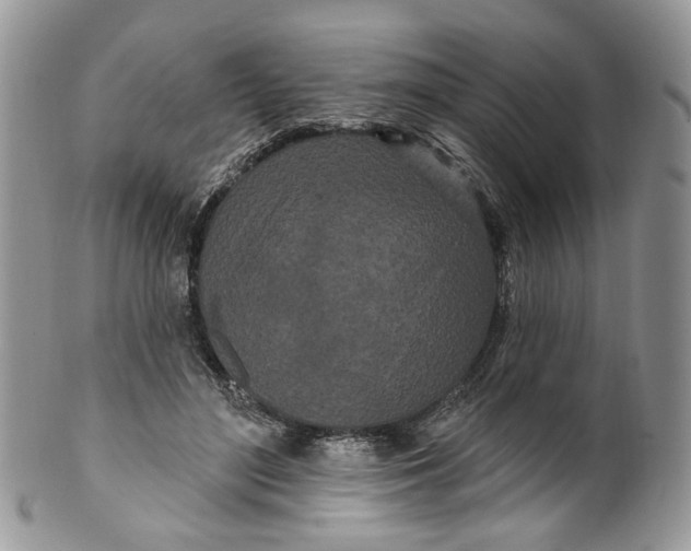 X0000099960500200806131513